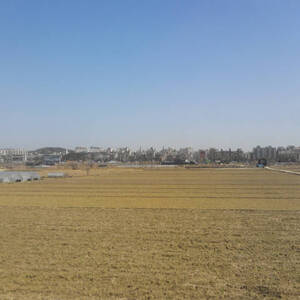 시험보고 오는중에 봄날풍경