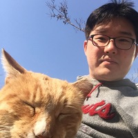 놀이터에서 고양이랑